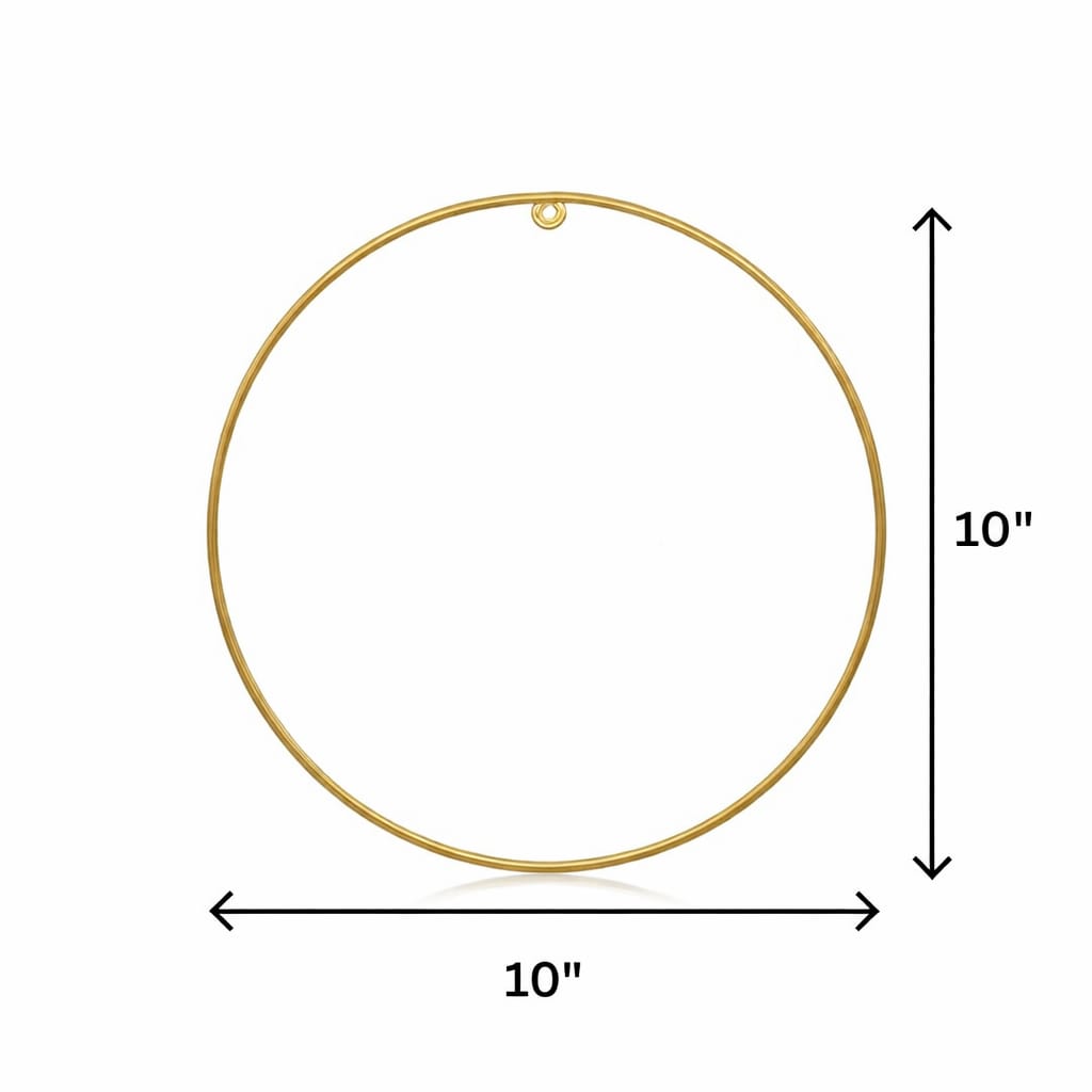 10 Inch Metal Hoop Ring Only (No Stand)