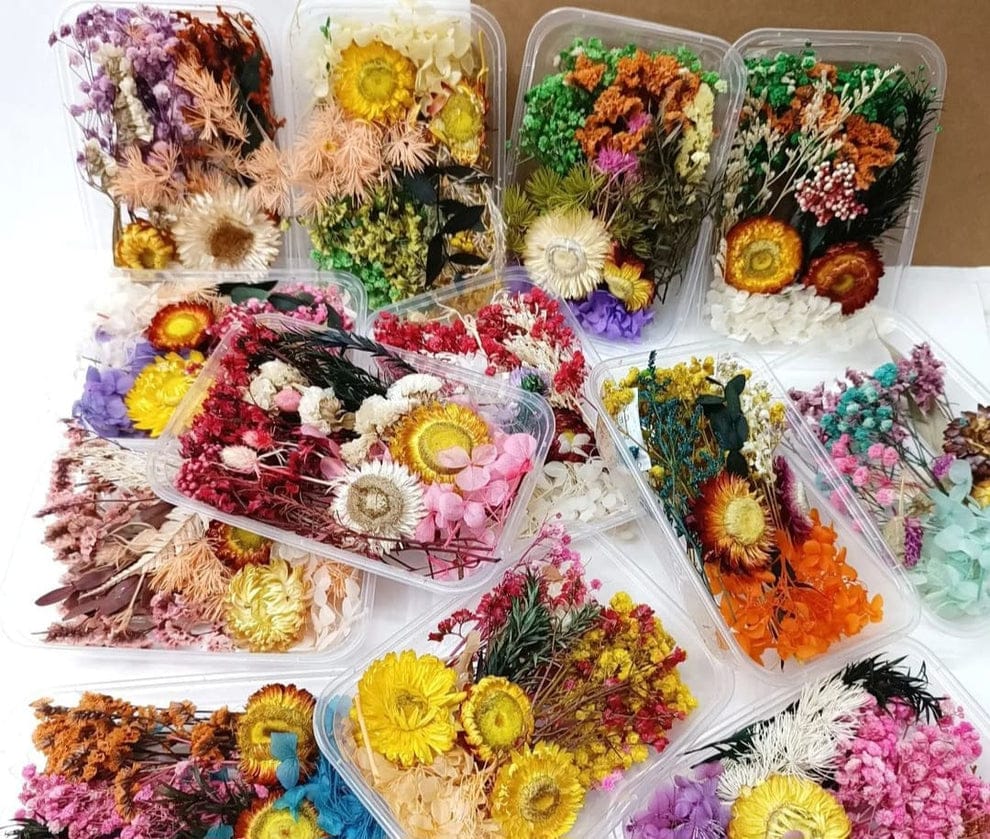 Dry flowers random design