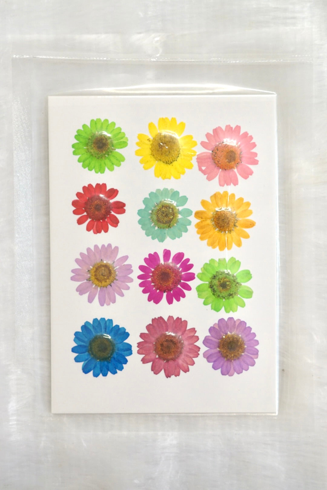 Multi Coloured dried pressed flowers