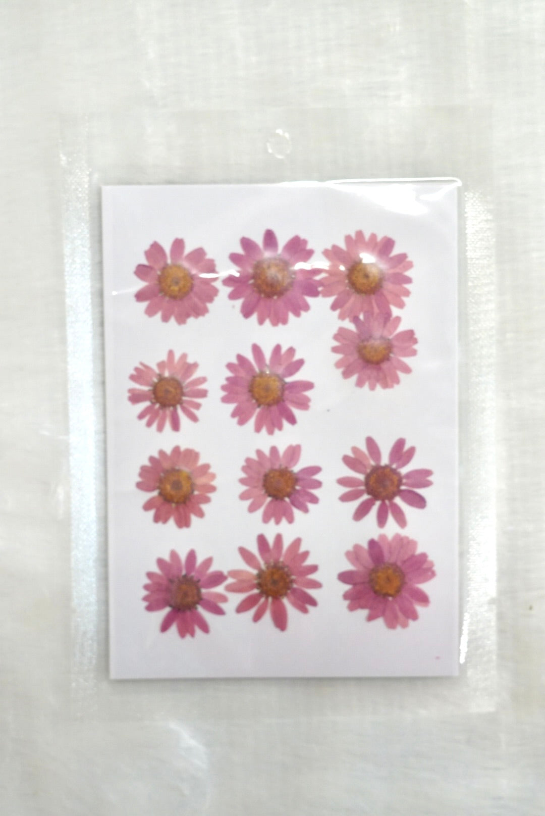 Pressed dried daisy flower sheet (Dusky Pink )