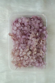 Hydrangea flowers box (Big)