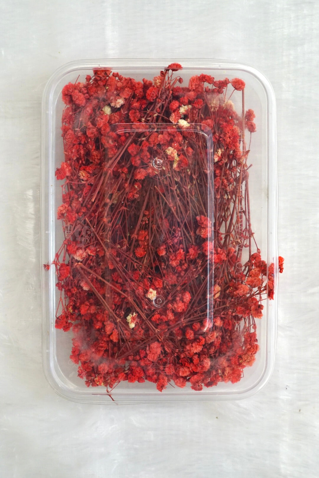 Red Baby Breath Dry