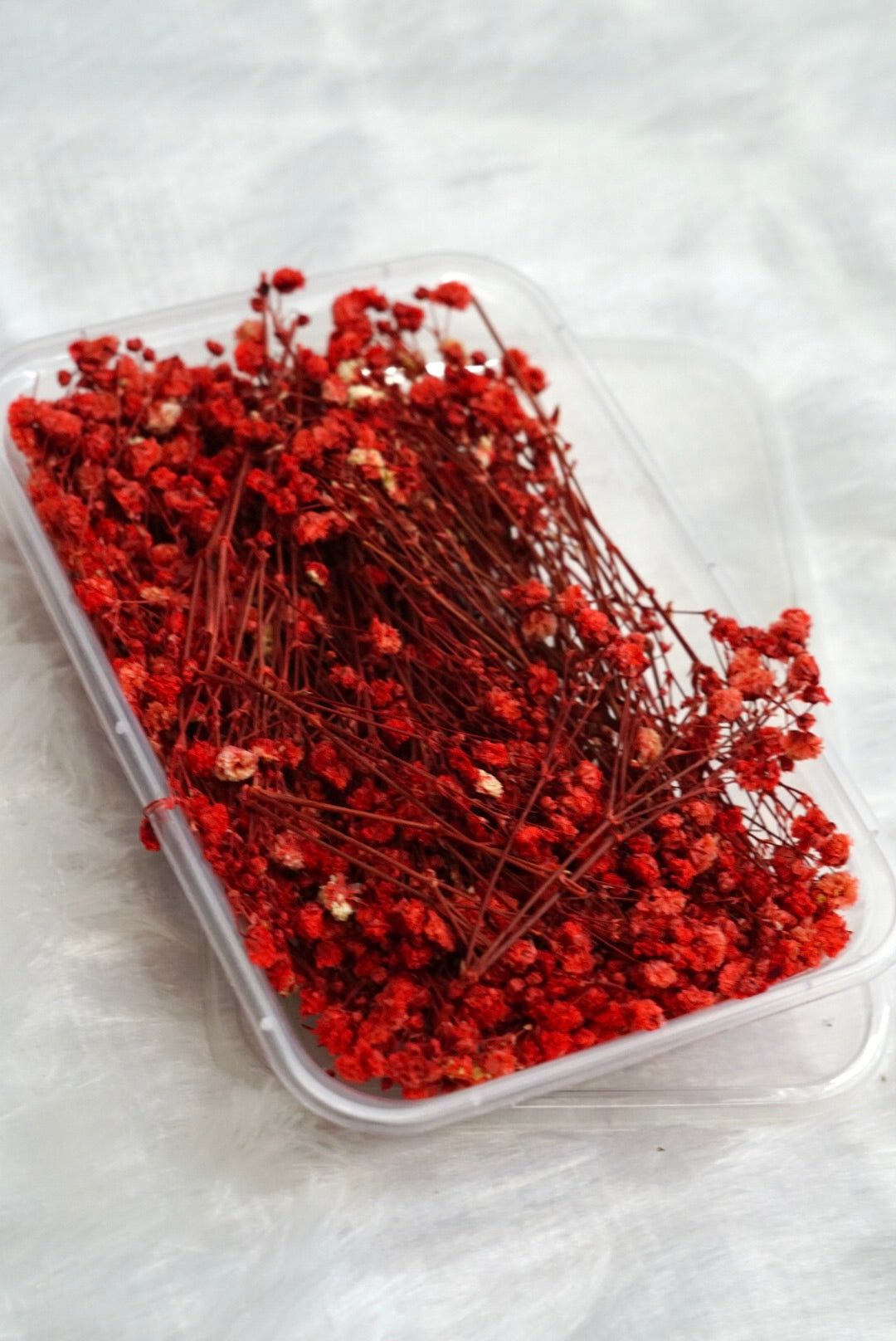 Red Baby Breath Dry