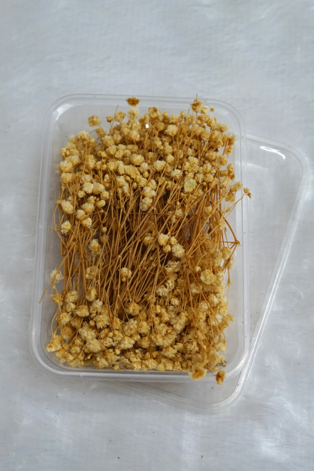 Baby breath /Gypsy flower box
