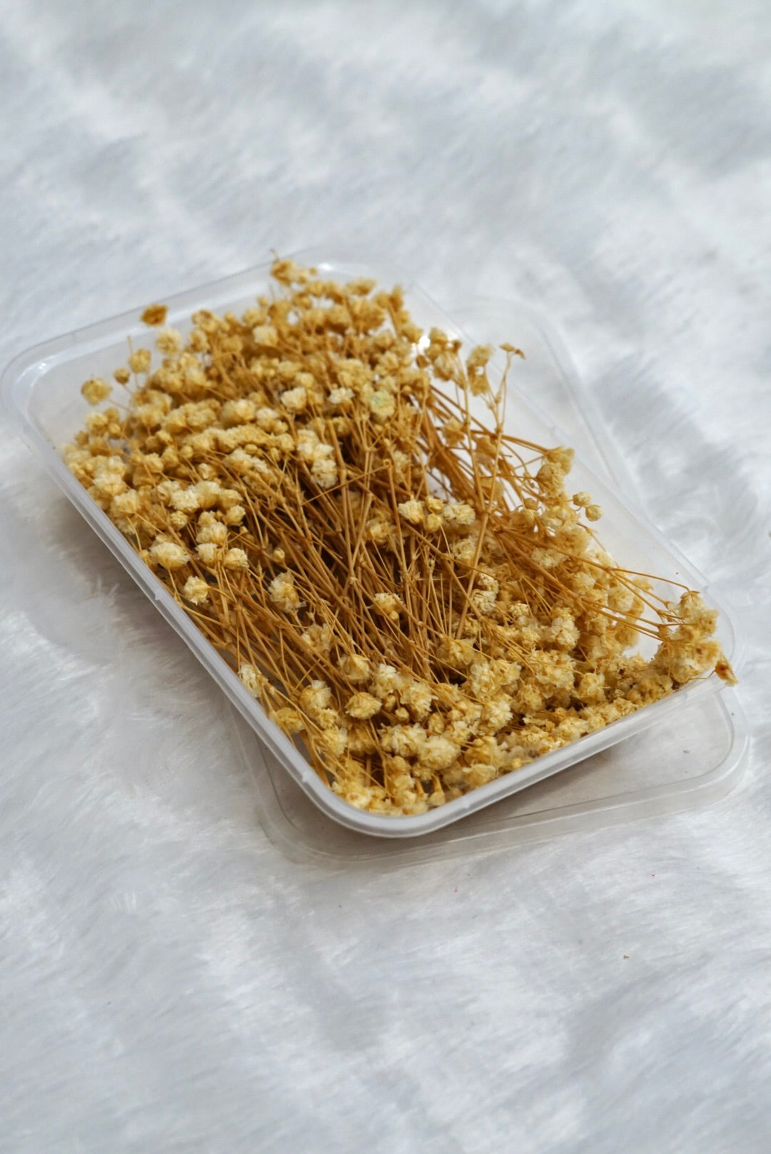 Baby breath /Gypsy flower box