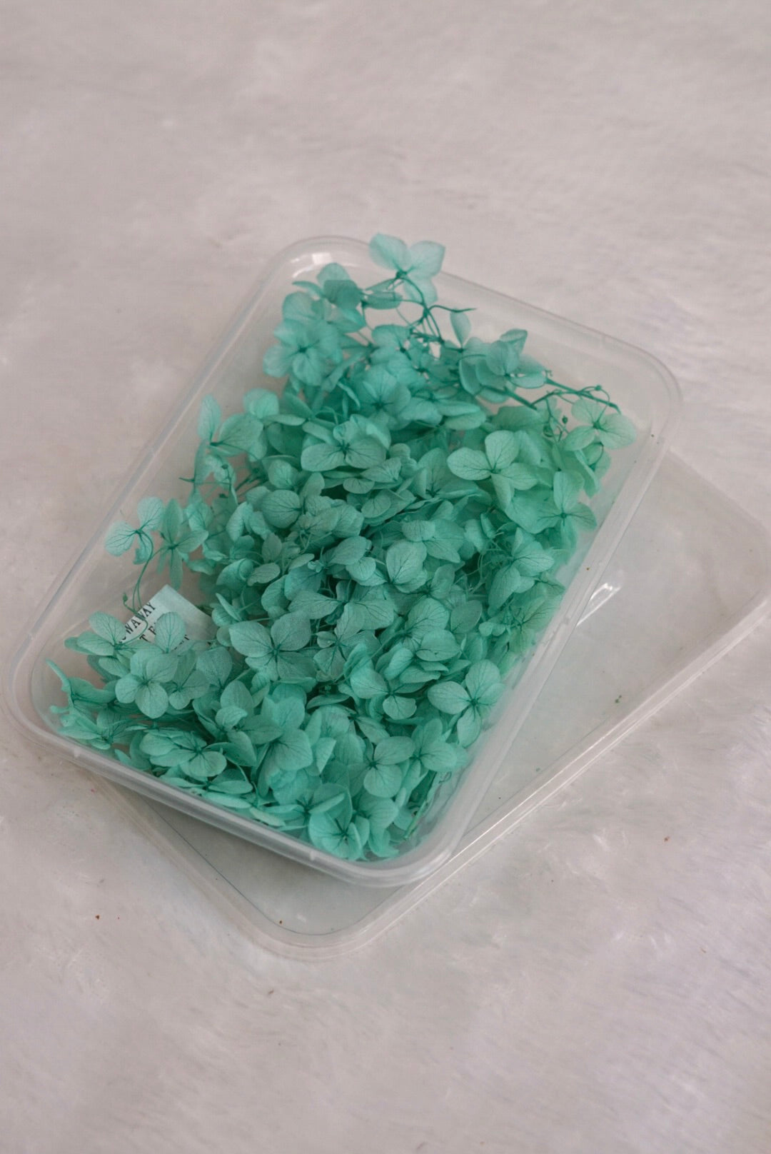 Sea Green Hydrangea Flowers