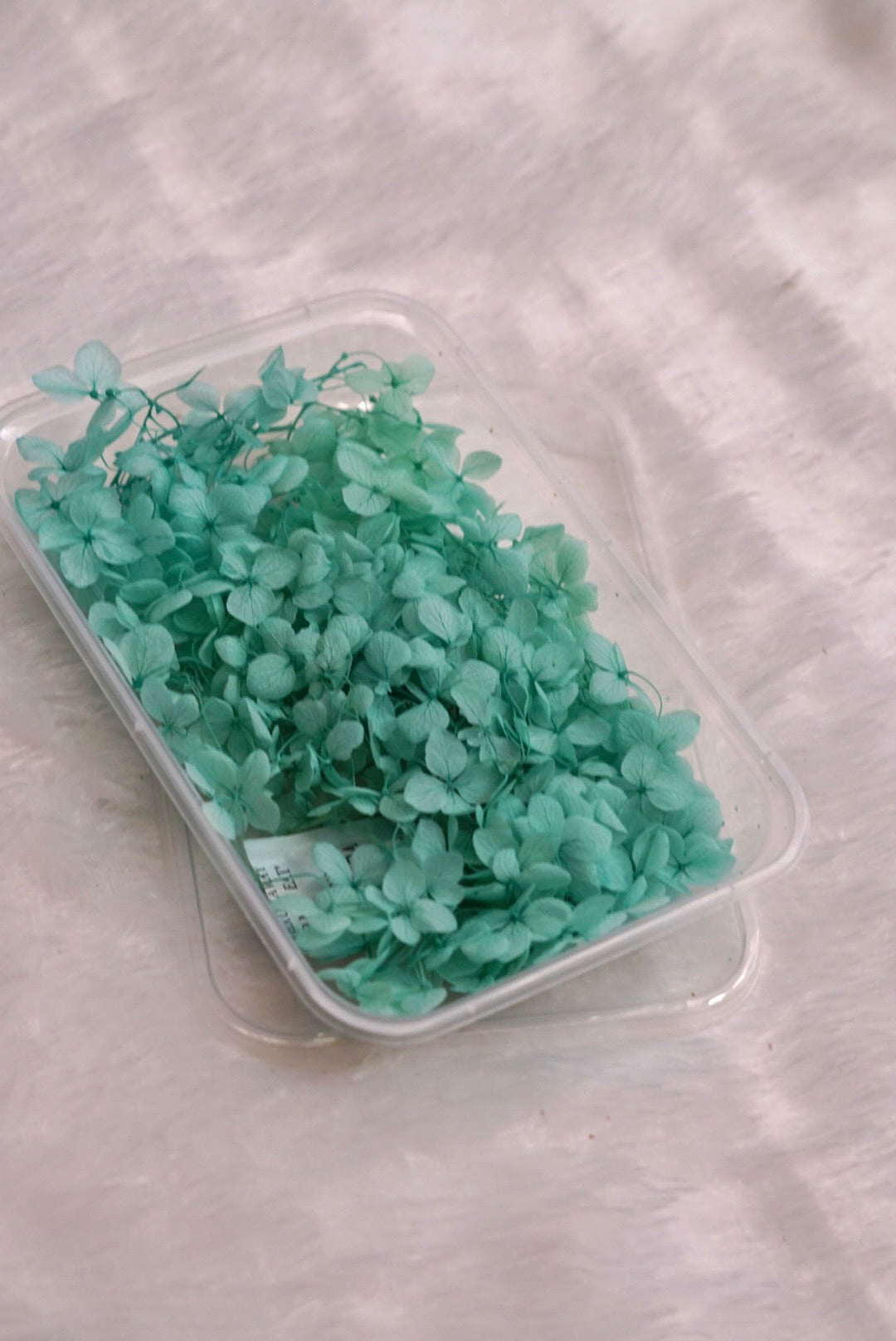 Sea Green Hydrangea Flowers