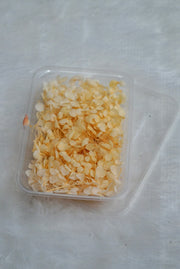 Hydra Flowers Big Box